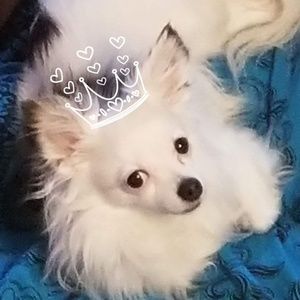 Meet your Posher, Lisa